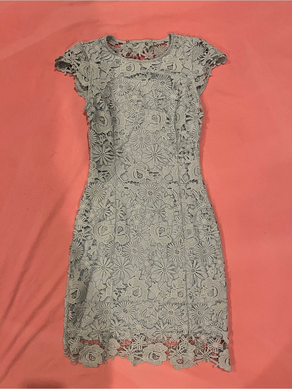 Lulu's Powder Blue Floral Lace Mini Dress